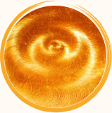 Birgit Elger Neuraltherapie